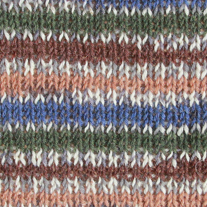 West Yorkshire Spinners Signature 4 Ply Country Birds