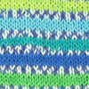West Yorkshire Spinners Signature 4 Ply Country Birds