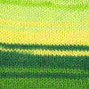West Yorkshire Spinners Signature 4 Ply Winwick Mum
