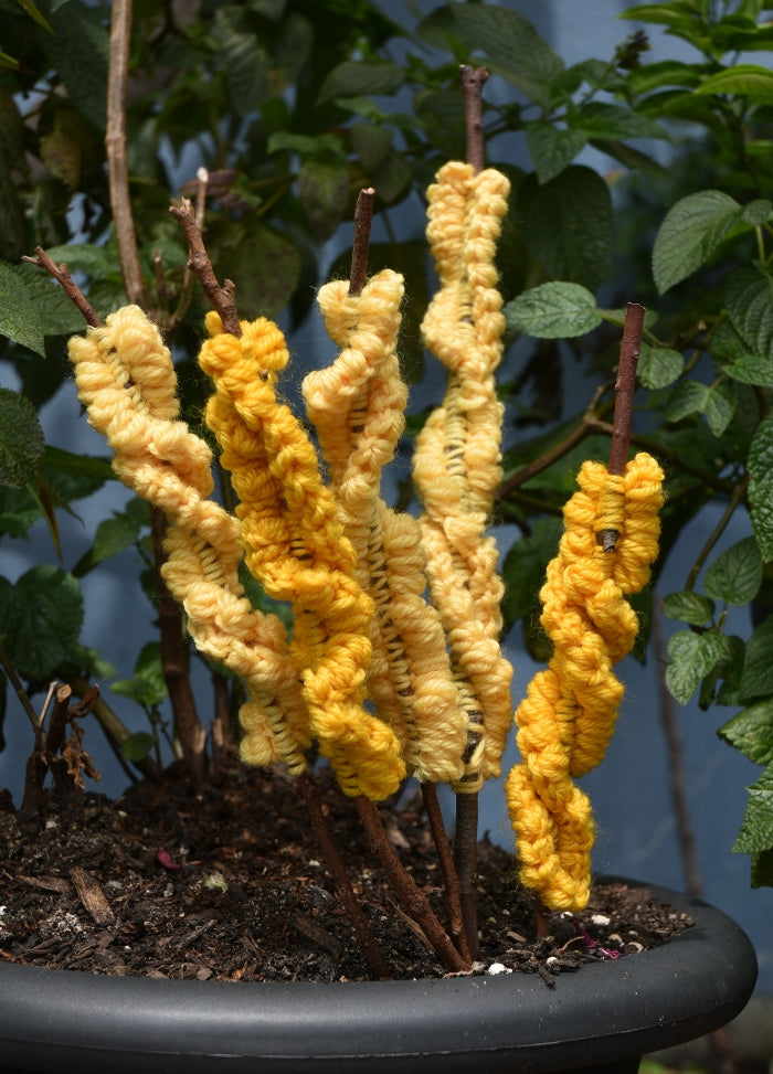 Alison Thompson Crochet Wattle Kit