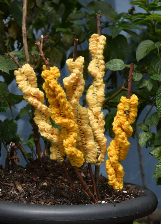 Alison Thompson Crochet Wattle Kit