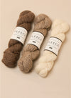 West Yorkshire Spinners Fleece Bluefaced Leicester Aran Roving