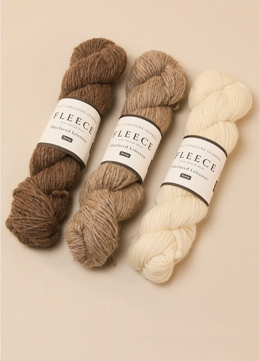 West Yorkshire Spinners Fleece Bluefaced Leicester Aran Roving