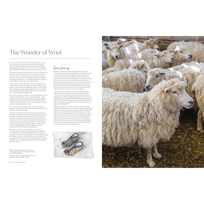 Wonder of Wool: A Knitter's Guide to Pure Breed Sheep by Justine Lee