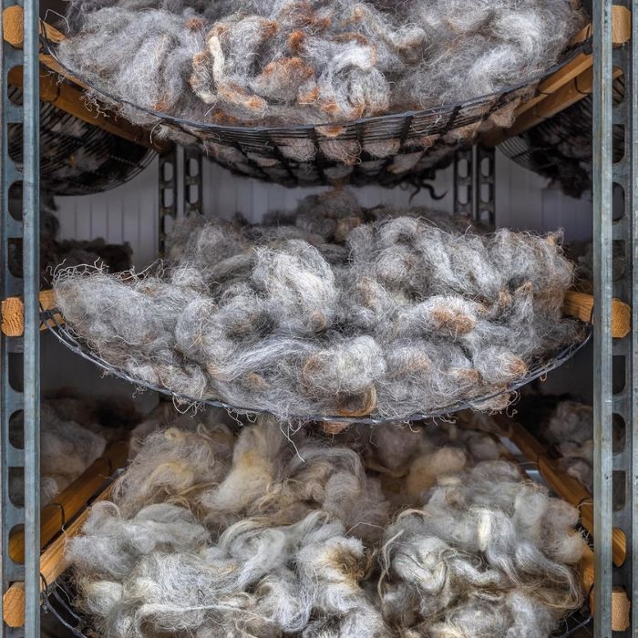 Wonder of Wool: A Knitter's Guide to Pure Breed Sheep by Justine Lee