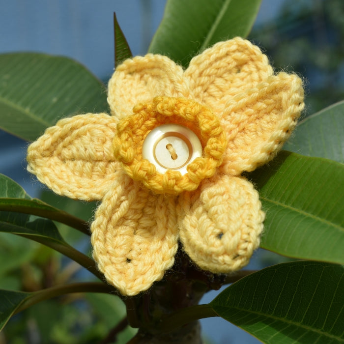 Alison Thompson Crochet Daffodil Digital Pattern