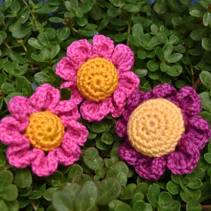 Alison Thompson Crochet Daisy Digital Pattern