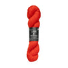 5441 Sunset Poppy