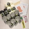 Class in a Box: Learn to Crochet a Scarf Kit