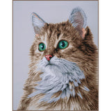 VERVACO COUNTED CROSS STITCH KIT THE PURRFECT STARE