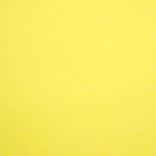 Wool Felt Solids 66 Citrus - Morris & Sons Australia