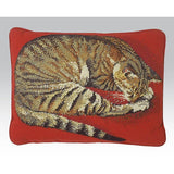 Naxos Cat Red Cushion