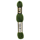 DMC Tapestry Wool 7367 Medium Avocado Green