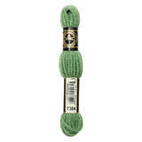 DMC Tapestry Wool 7384 Forest Green