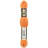 DMC Tapestry Wool 7919 Light Orange Spice - Morris & Sons Australia