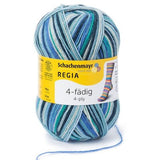 Regia Colour 4ply 100g