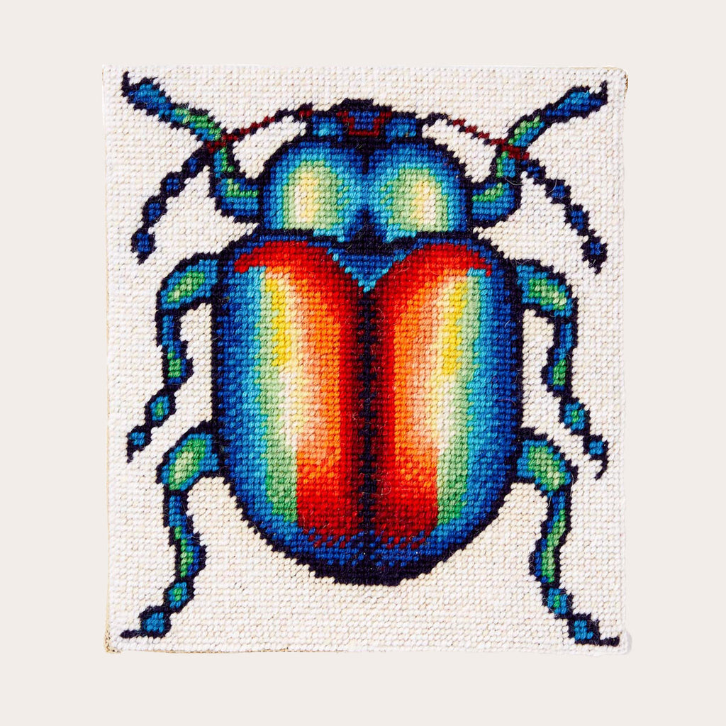 Rainbow Beetle - Morris & Sons Australia