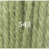 Appletons Crewel Wool 543 Early English Green - Morris & Sons Australia